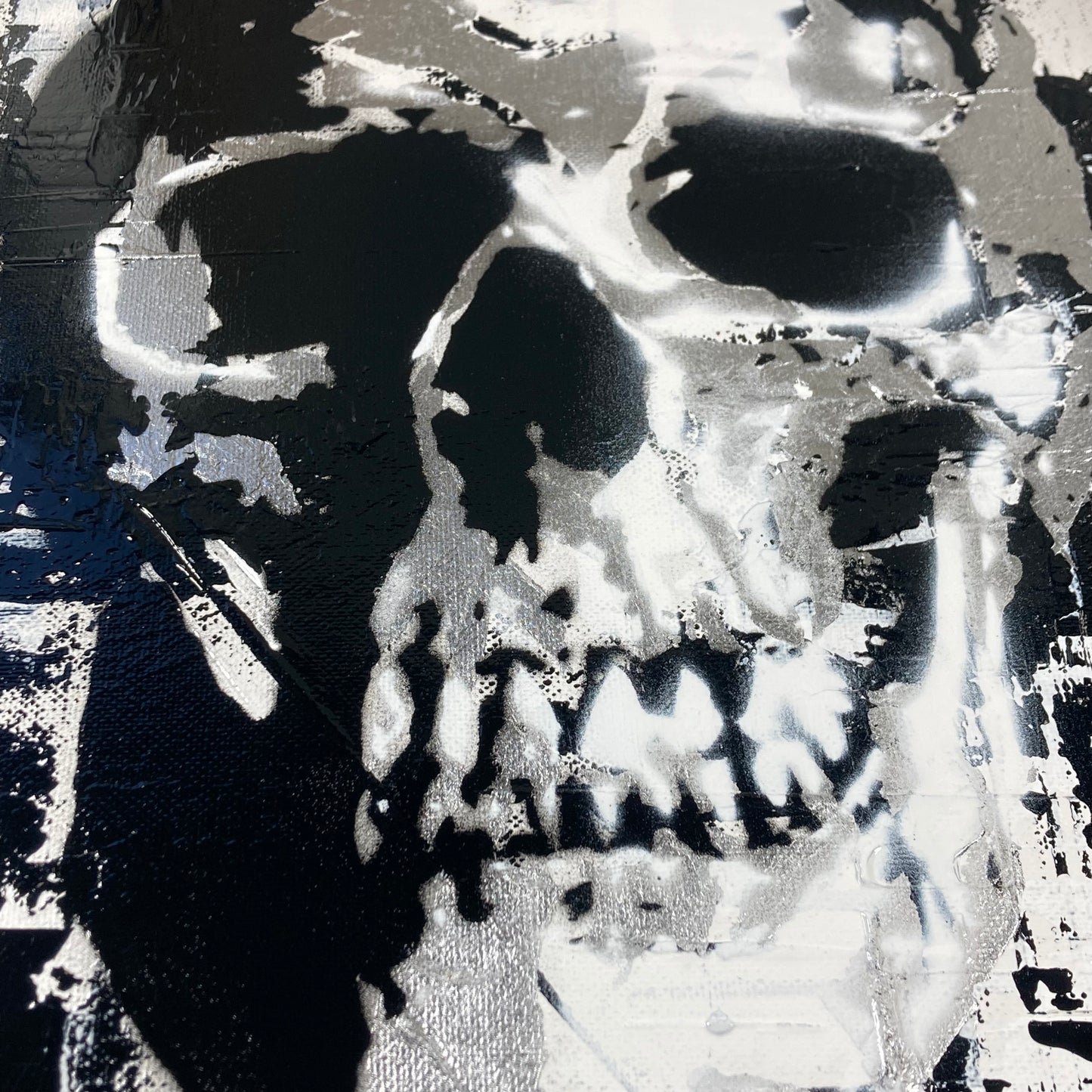 Skull Designs on Canvas
